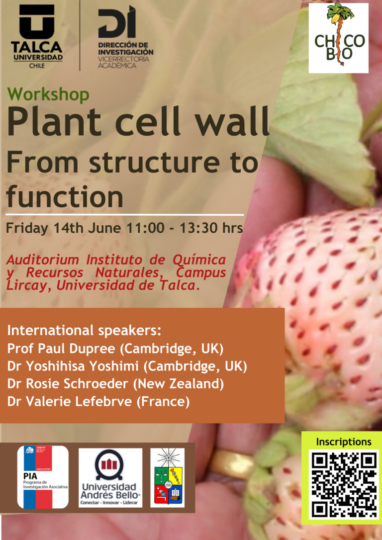 Plant cell wall: from structure to function