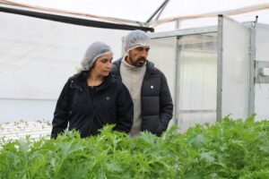  “Módulo de Agricultura Vertical: Una Alternativa Productiva Sustentable”