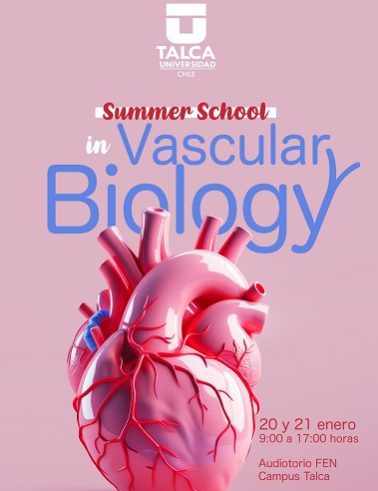 “Summer School in Vascular Biology”